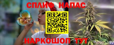 дживик Камышлов