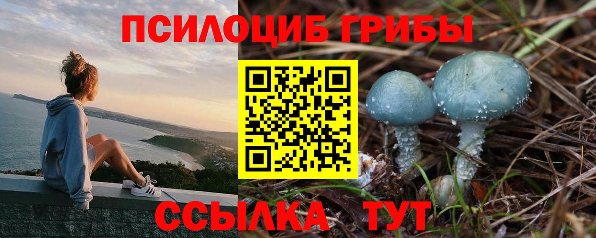 Псилоцибиновые грибы Magic Shrooms Красноуфимск